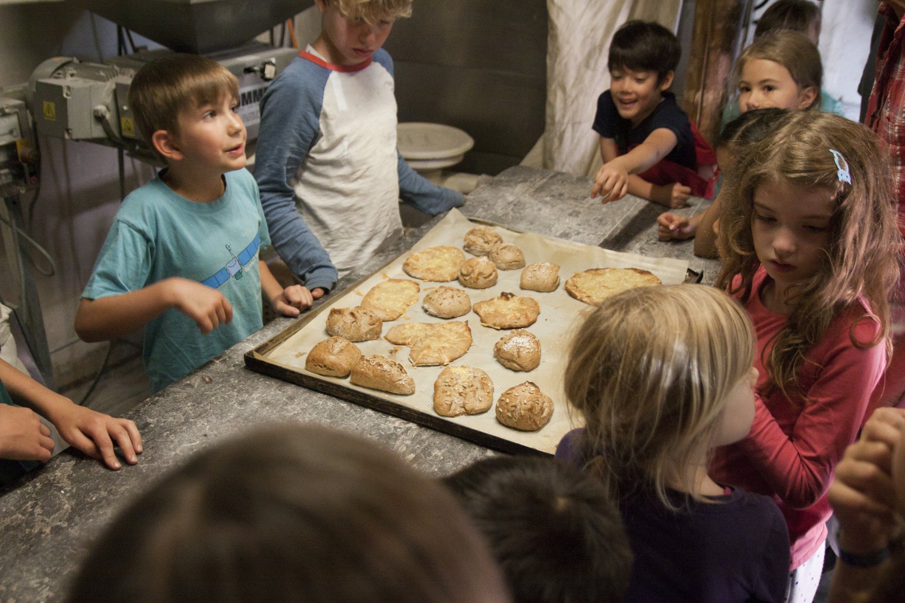 F RDERANTRAG LERNORT BAUERNHOF visual data 5